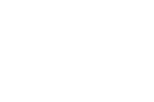 My Neighbour Totoro - Logo